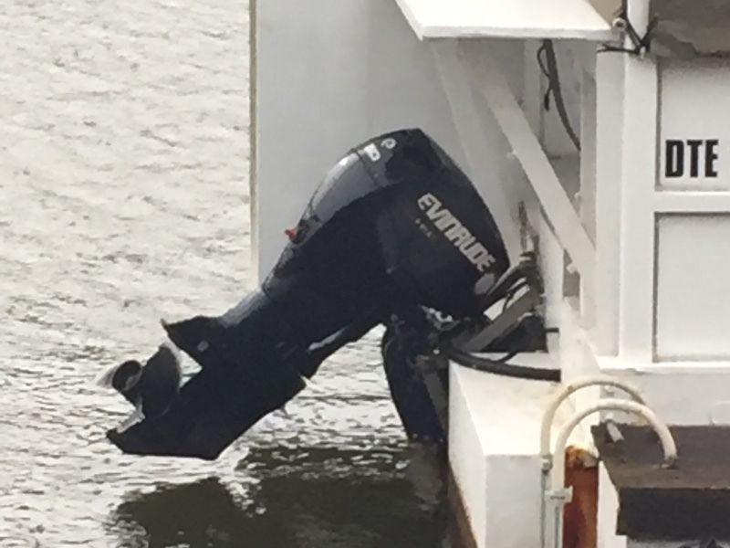 50hp Evenrude 4stroke Etec