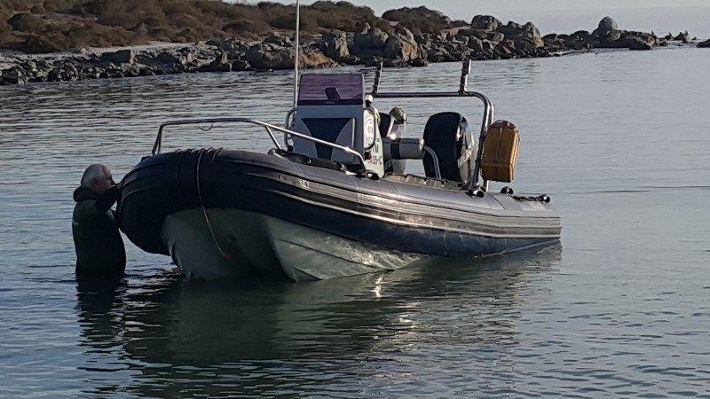 RUBBER DUCK 5,4M STINGRAY PREDATOR