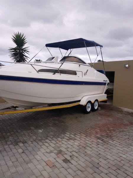 Flamingo 216