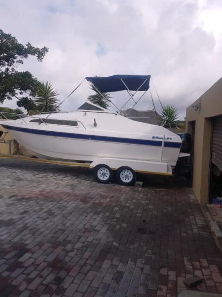 Flamingo 216