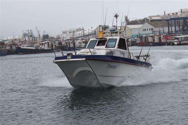 28’ BUTT CAT FITTED WITH 2 X 150 E-TEC SUZUKI MOTORS 2012 IN EXCELLENT CONDITION