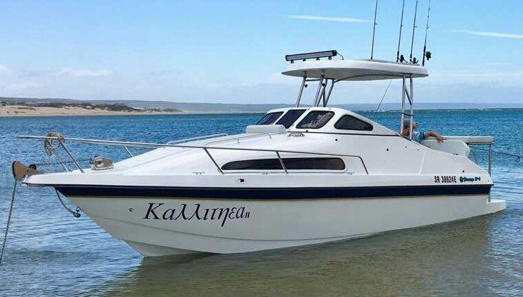 LOOKING FOR A NEW FLAMINGO?