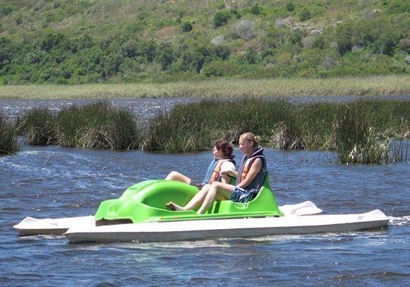 Wanted second hand paddle boat similar to pic
