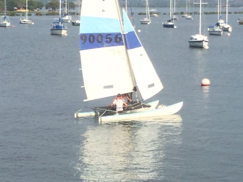 16 ft Hobie cat sailboat for sale