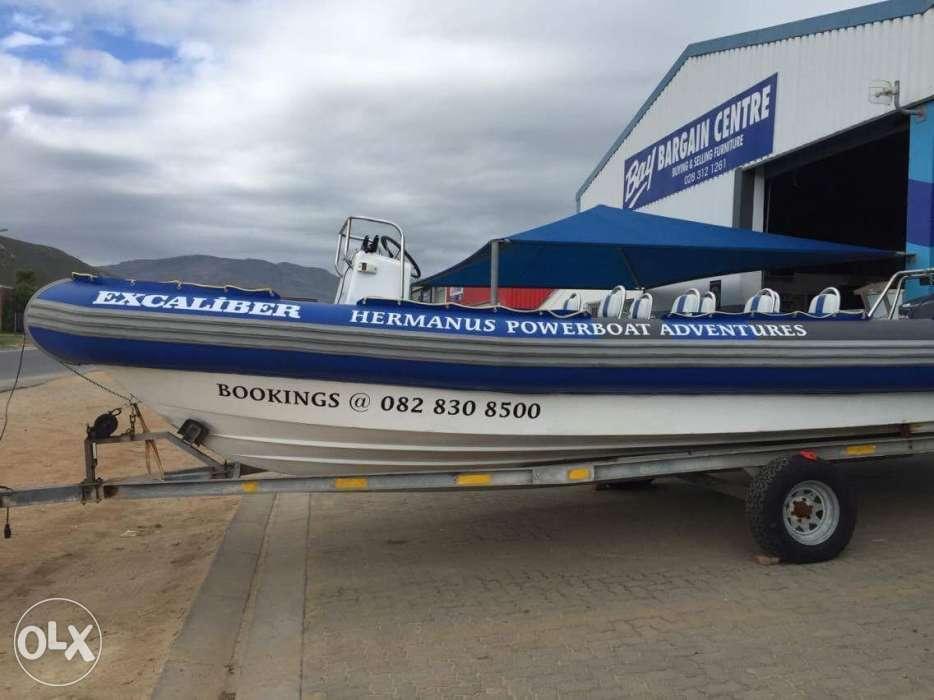 8m Wildcat boat