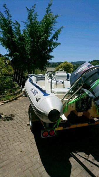 4.7 Gemini Waverider Cat (PRICE DROP)