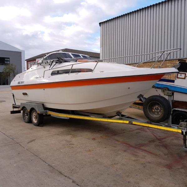 Flamingo 216