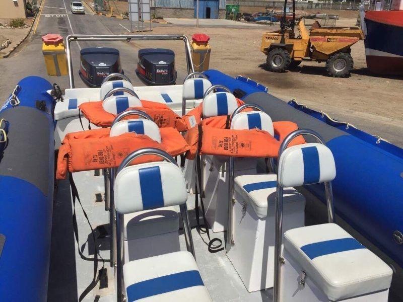 8m Wildcat Powerboat with 2 x 115 Yamaha motors - great condition. safety gear up to date SAMSA appr