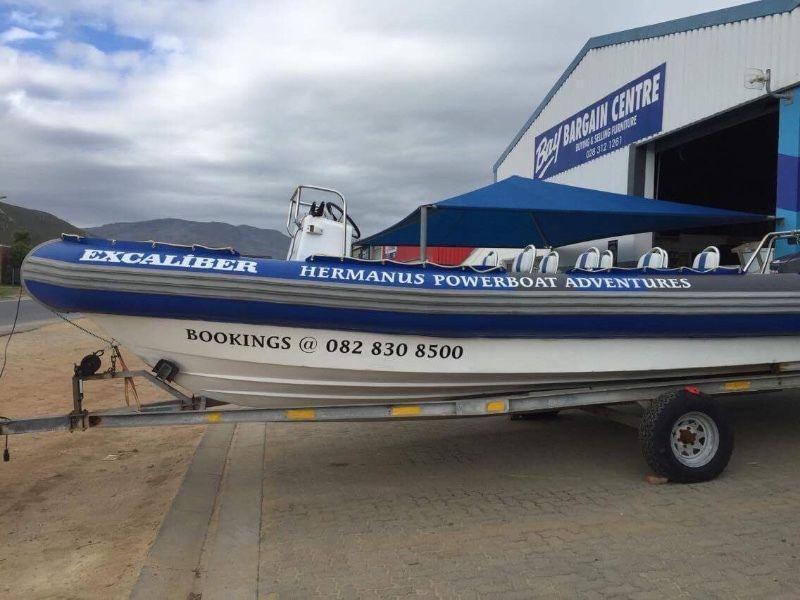 8m Wildcat Powerboat with 2 x 115 Yamaha motors - great condition. safety gear up to date SAMSA appr