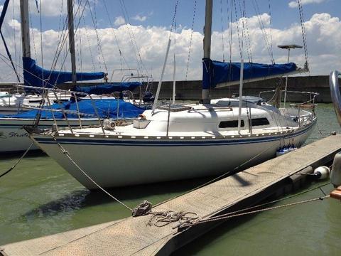 Spirit 28