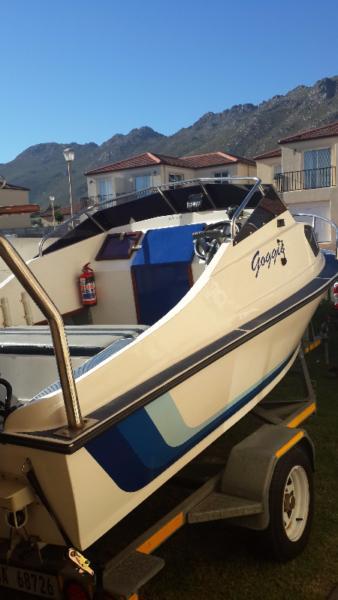 16.5 Ft Sea craft fishing boat for sale.2 x 35HP Evinrude outboard motors, Very economical