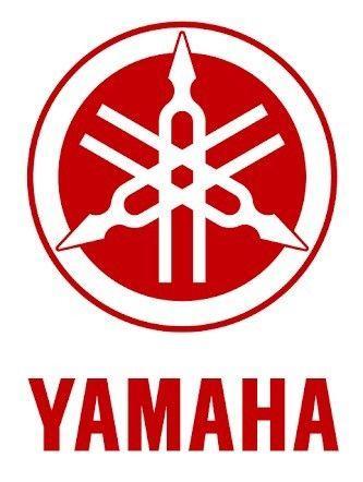 Yamaha outboard mechanic