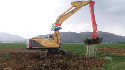 Hyacinth removal. Dam cleaning