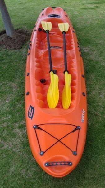 Synergy kayak to rent per day