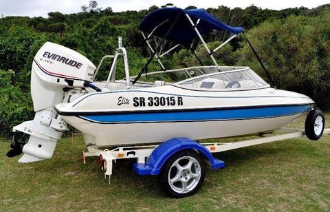 RAVEN ELITE WITH 115 EVINRUDE E-TEC - SALTWATER EDITION - VERY LOW HOURS (85)