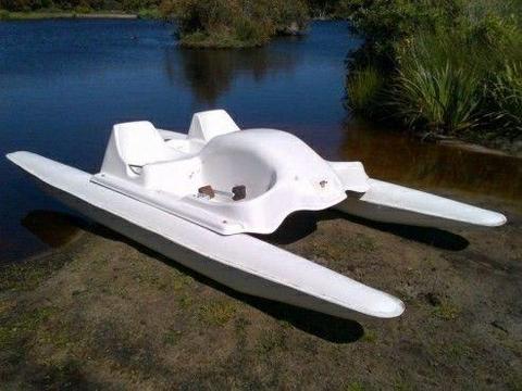 brand new. two seater pedal boat for sale