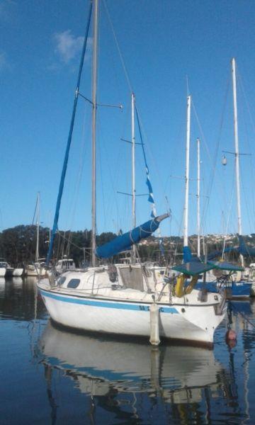 26 Foot Theta fibreglass sailing yacht including mooring at Bluff Yacht club R45000