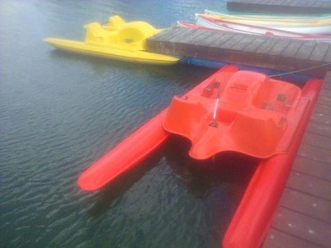 brand new. two seater pedal boat for sale