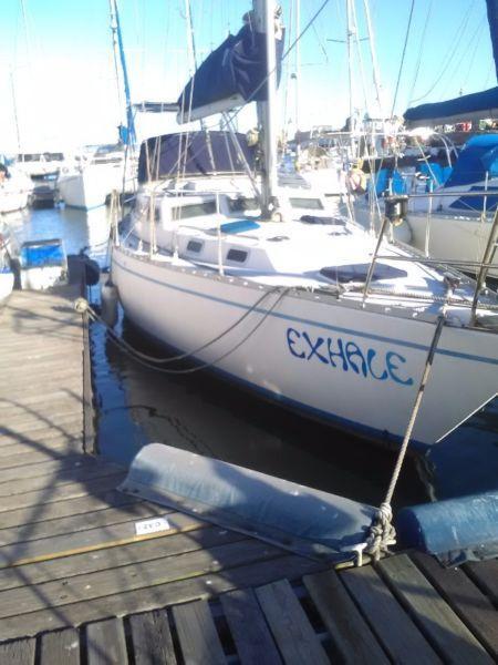 Mediterranean 37
