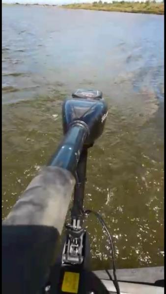 40lbs Elbe electric motor