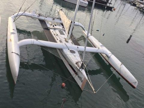40ft Carbon Trimaran for sale and/or Nanni 21hp inboard motor