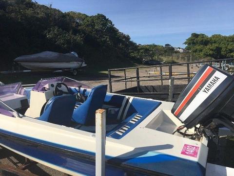 Ski boat with 60HP Yamaha engine and licensed trailer