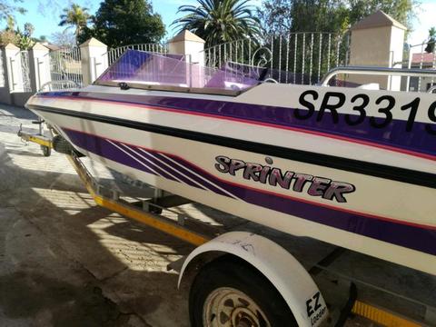 Vicking boat