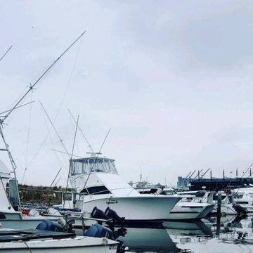 2008 Luhrs 40 Convertible Sport's Fisher