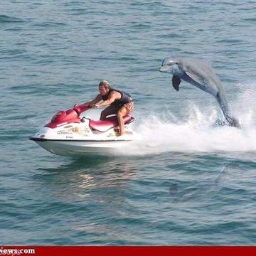 Jetski Passion Services / Repairs