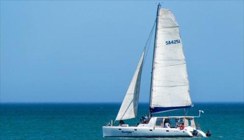 Scape 39 Day Charter Catamaran - High Performance - Excellent Overall Condition