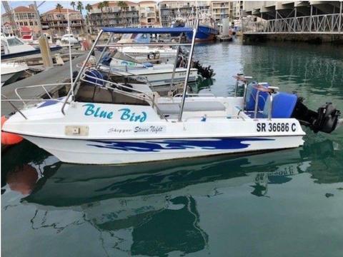 Super Cat 520-2 x 75hp Mercury