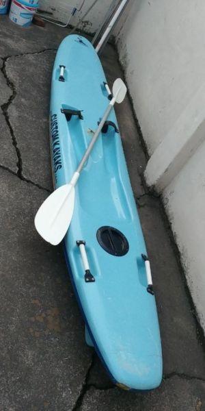 Custom Kayak for sale