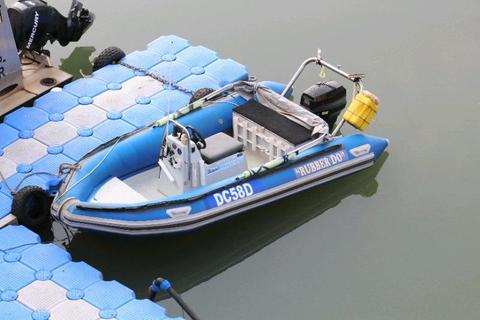 Stingray rubber duck
