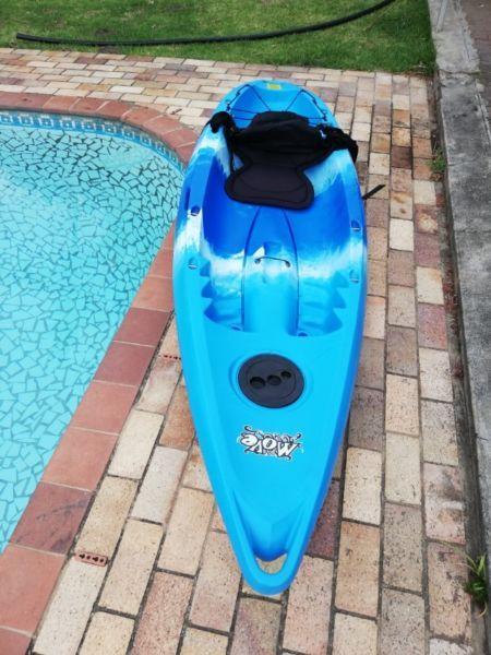 Feel free kayak with paddle