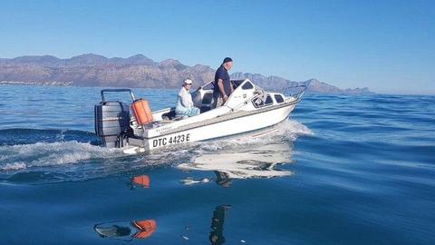 Flamingo 17’ Cabin Boat, 115 HP Mariner PTT (less than 12 hrs usage), on rebuilt Break-neck Trailer