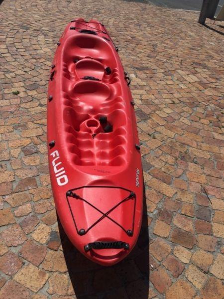 Fluid Synergy double plastic kayak