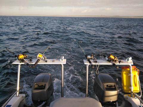 Wild cat with 2 X 40 hp mariner's