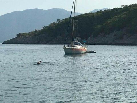 Jeanneau Fantasia 8.3m Yacht Lying in Greece. New 10hp Yanmar engine with 3year guarantee 