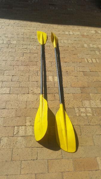 Generic Sea Kayak Paddles 