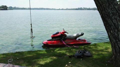 SEA DOO XP DI JETSKI BOMBARDIER 